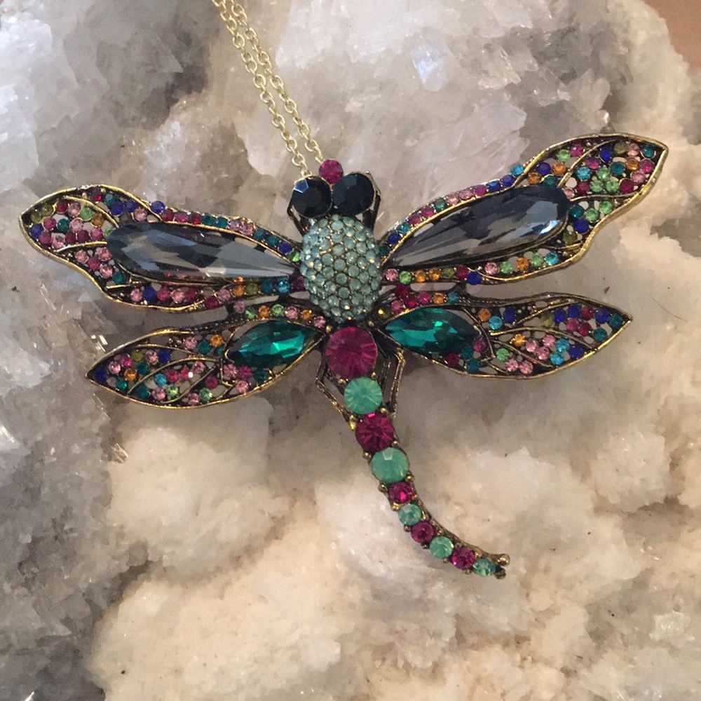 Dragonfly Guardian